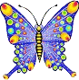 butterfly