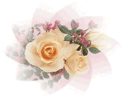 Lovely roses to mark the start of summer