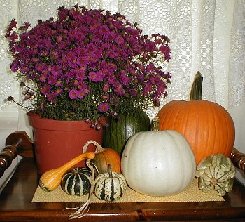 pumpkins and gourds